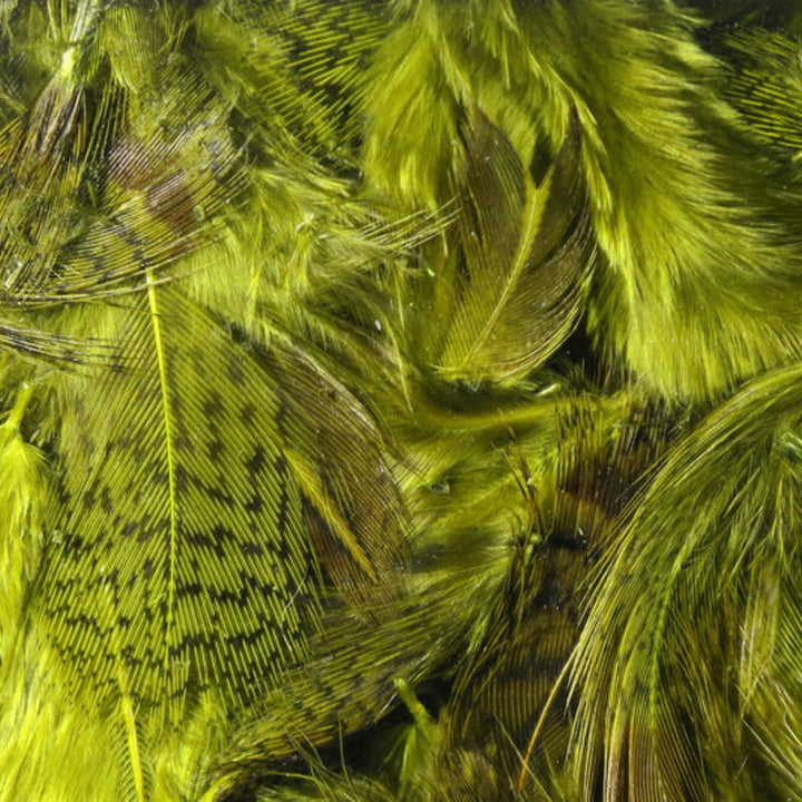 Hareline-Hungarian-Partridge-Feathers-Olive