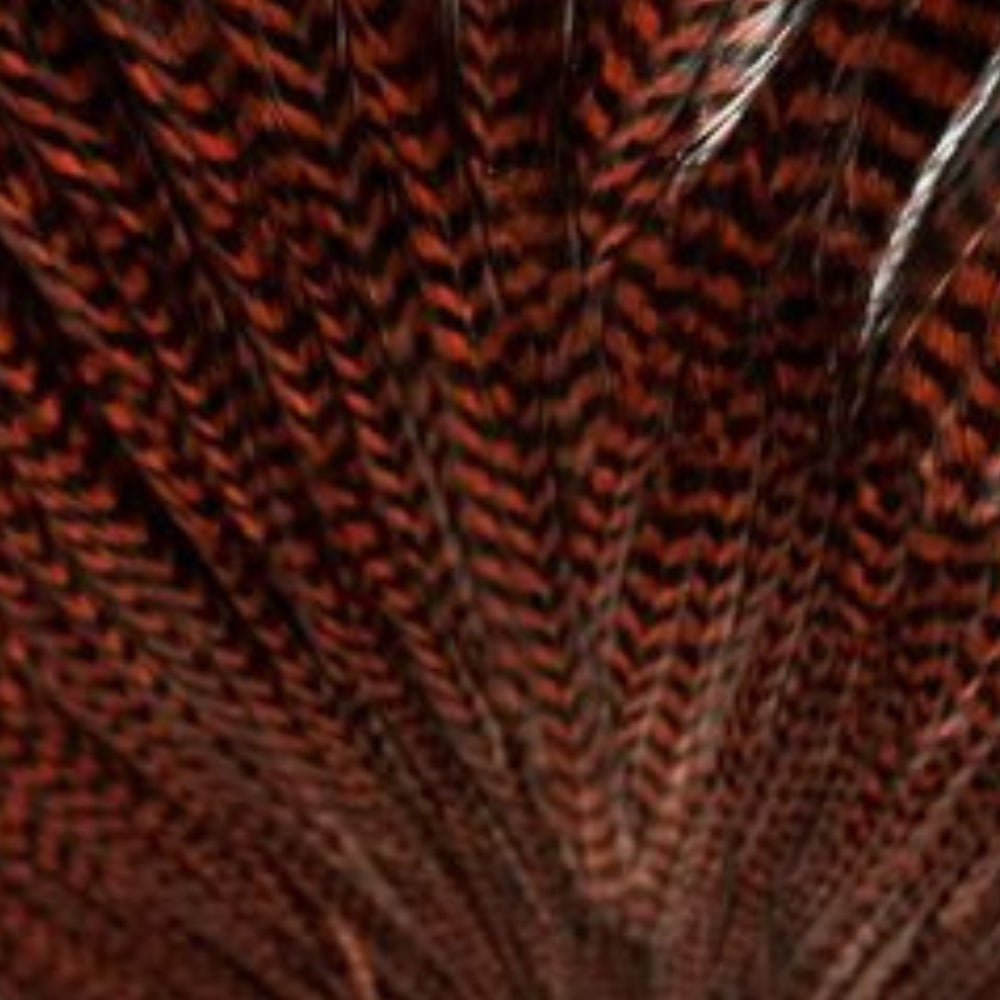 Hareline-Keough-Tyer_s-Grade-Cape-Grizzly-Dyed-Brown