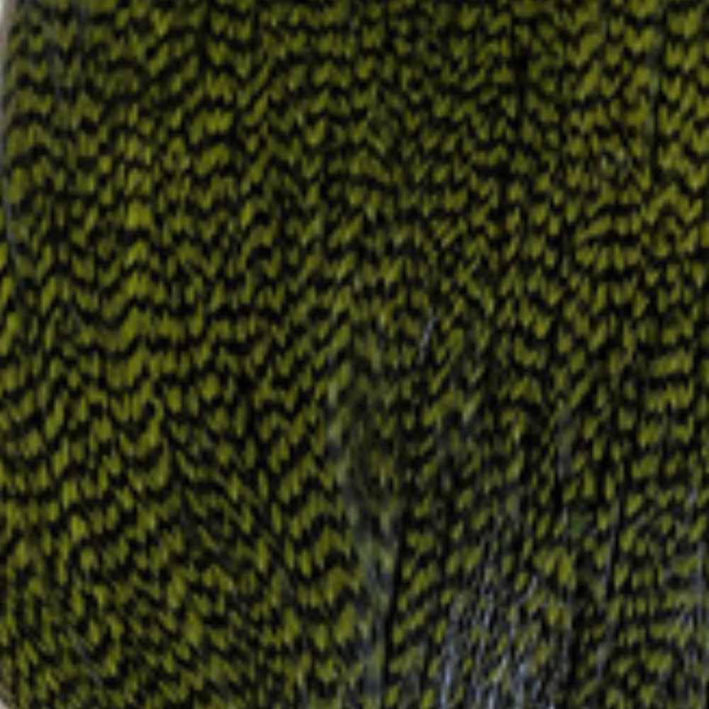 Hareline-Keough-Tyer_s-Grade-Cape-Grizzly-Dyed-Olive