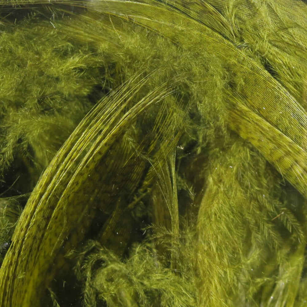 Hareline-Mallard-Flank-Feathers-Olive