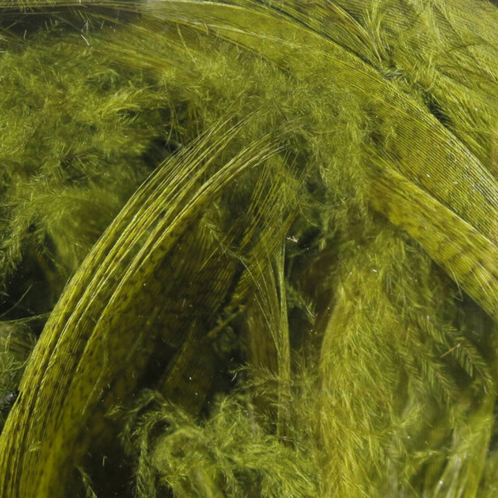 Hareline-Mallard-Flank-Feathers-Olive