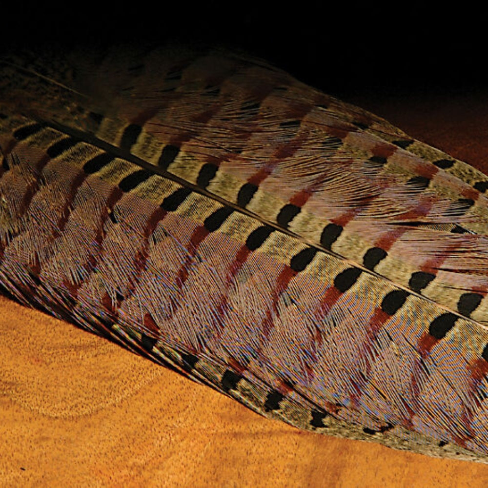 Hareline-Ringneck-Pheasant-Complete-Tail-Clump