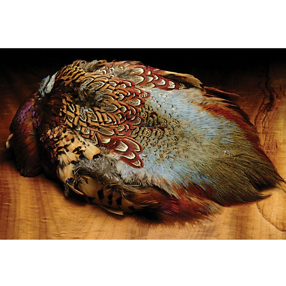Hareline-Ringneck-Pheasant-Skin
