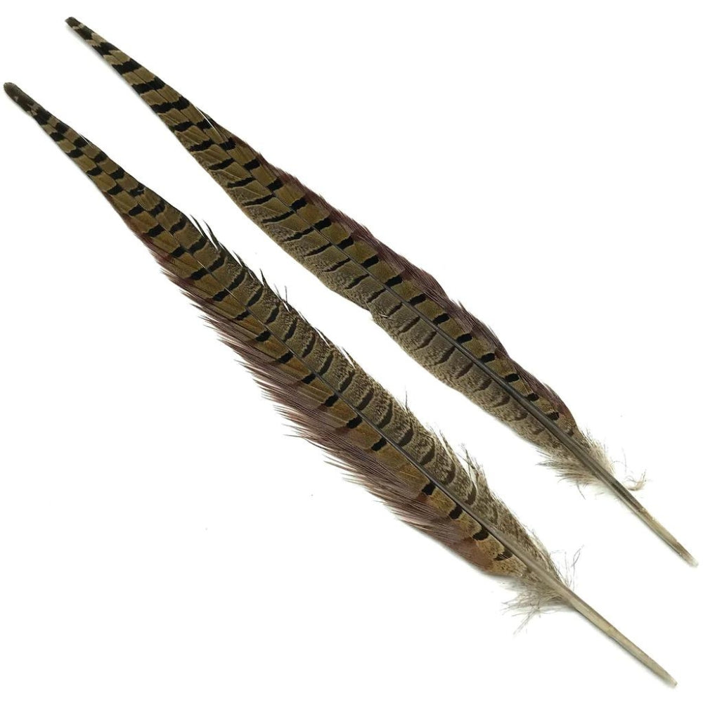 Hareline-Ringneck-Pheasant-Tail-Feathers-Natural