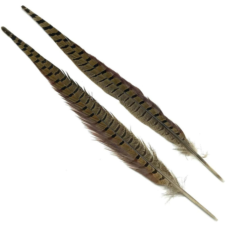 Hareline-Ringneck-Pheasant-Tail-Feathers-Natural