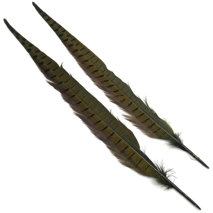 Hareline-Ringneck-Pheasant-Tail-Feathers-Olive