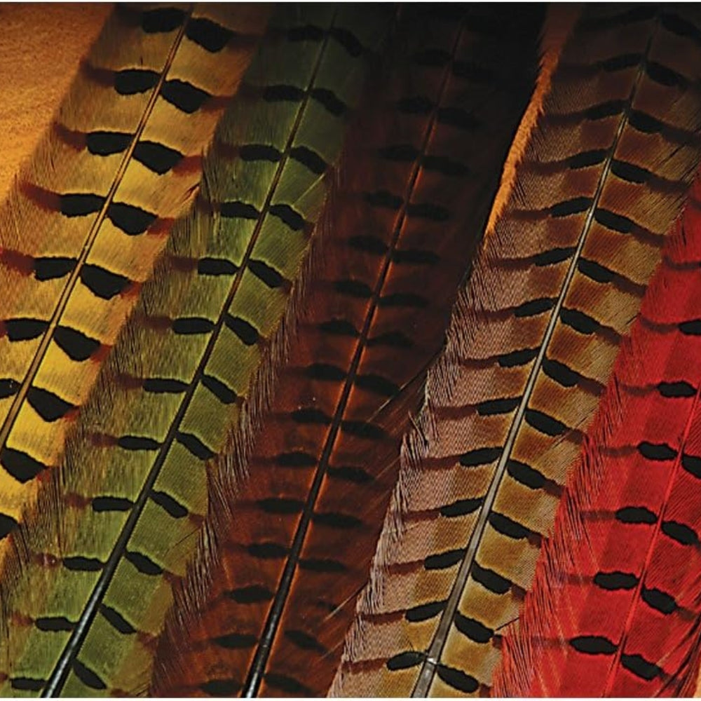 Hareline-Ringneck-Pheasant-Tail-Feathers