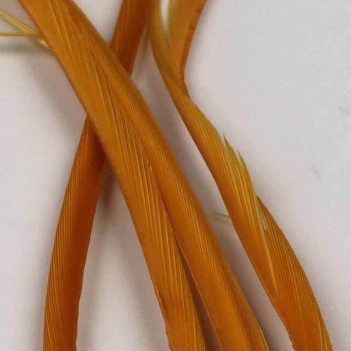 Hareline-Stripped-Goose-Biots-Gold