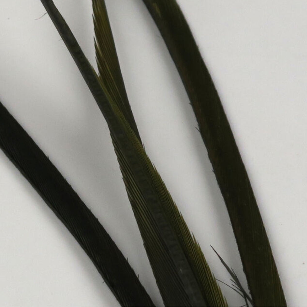 Hareline-Stripped-Goose-Biots-Olive