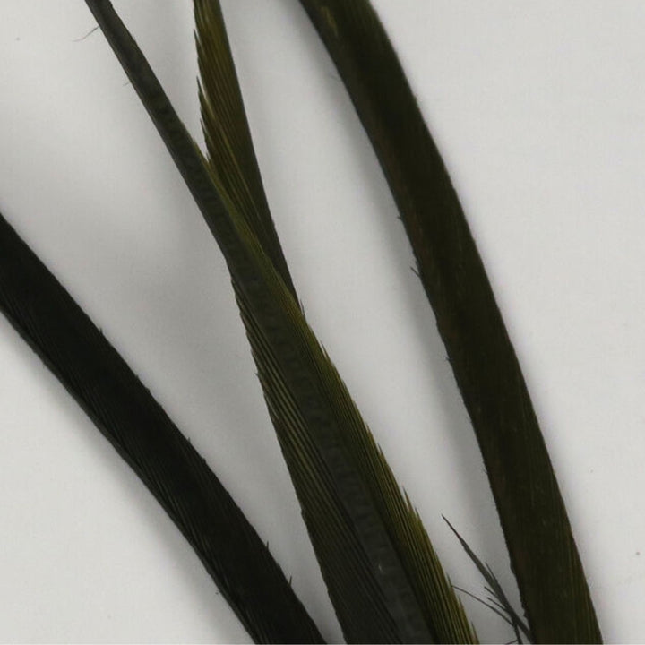 Hareline-Stripped-Goose-Biots-Olive