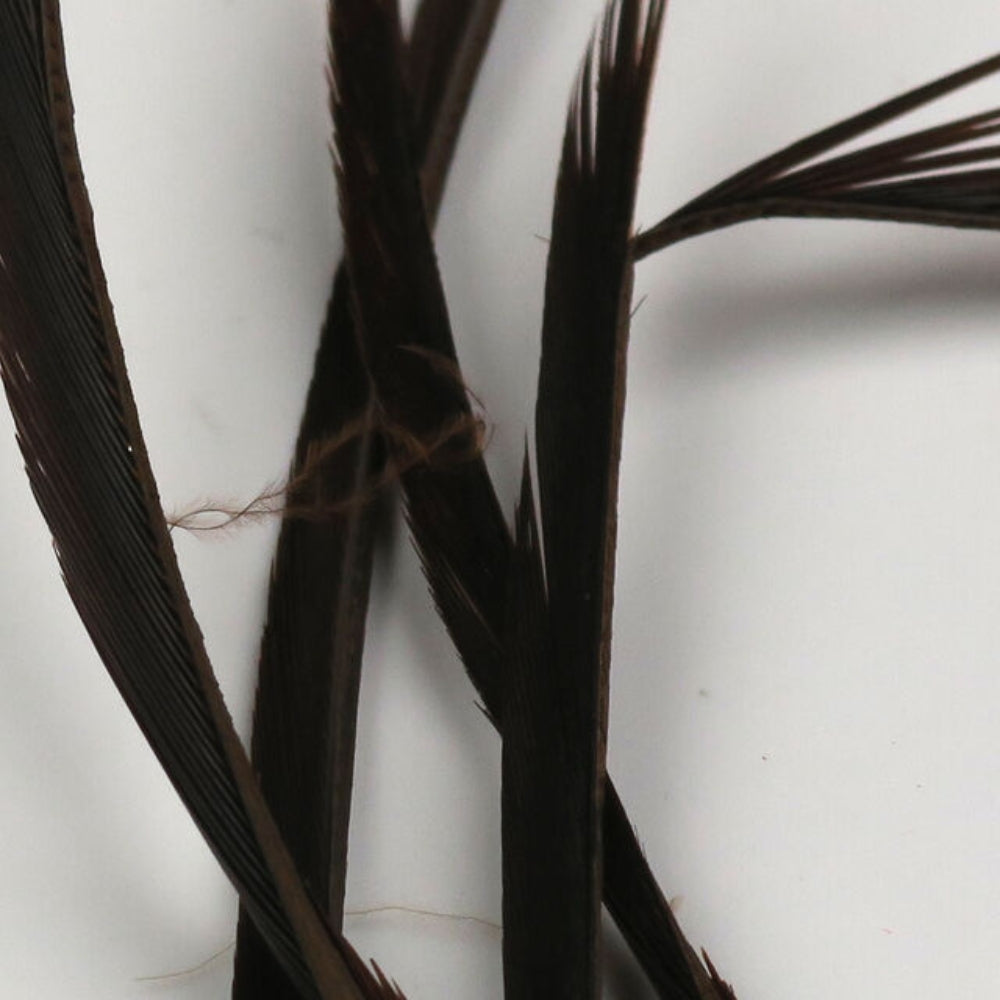 Hareline-Stripped-Goose-Biots-Prince-Nymph-Brown