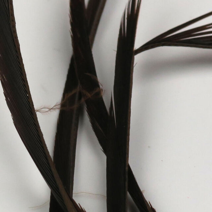 Hareline-Stripped-Goose-Biots-Prince-Nymph-Brown