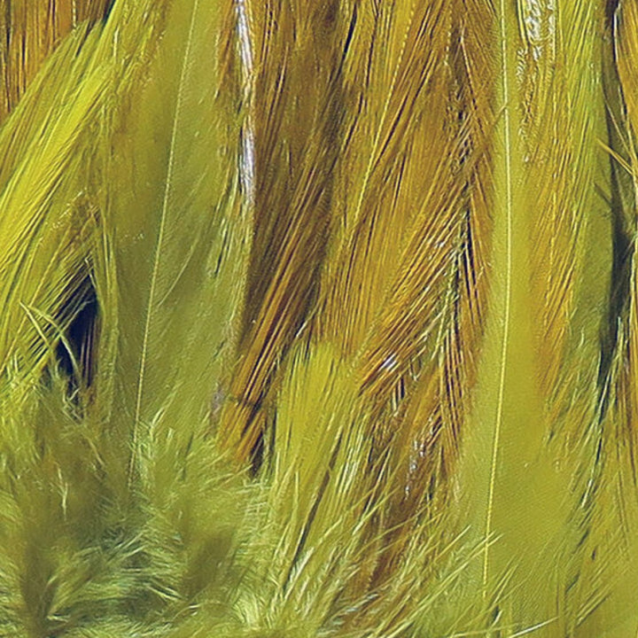 Hareline-Strung-Chinese-Saddle-Hackles-Olive