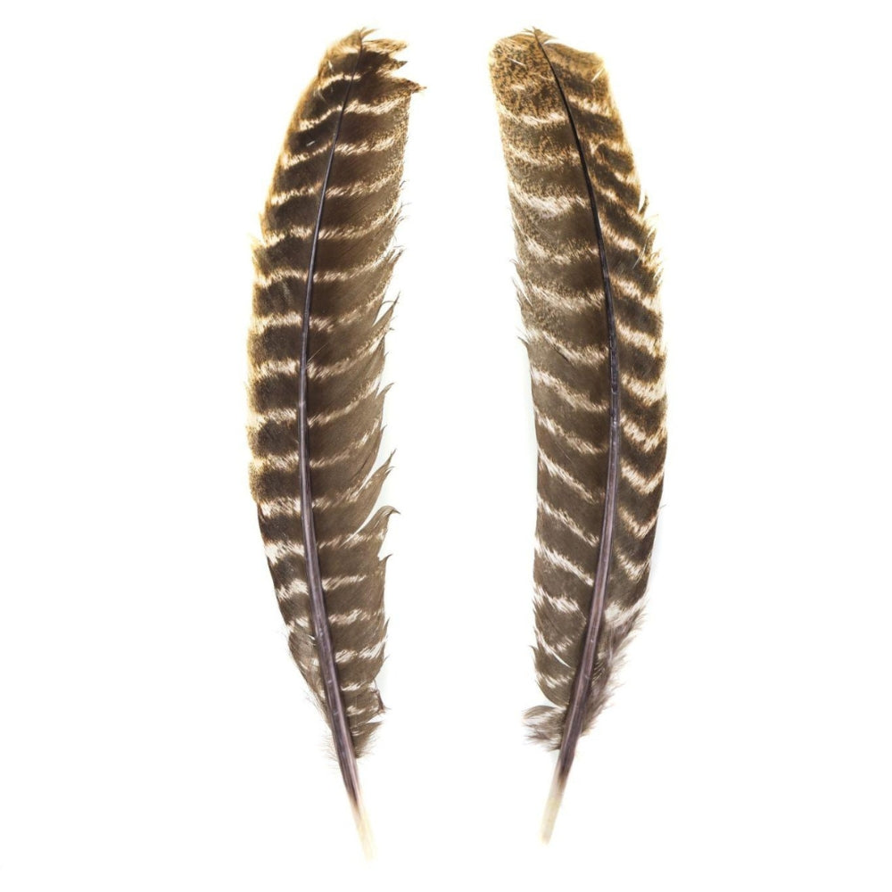 Hareline-Turkey-Quill-Feather