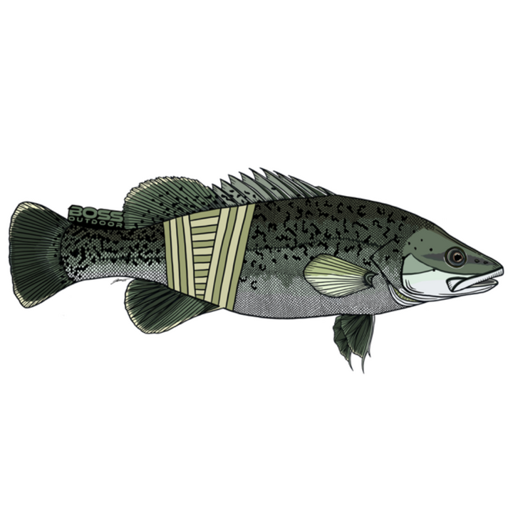 Boss/Headwaters Fish Sticker
