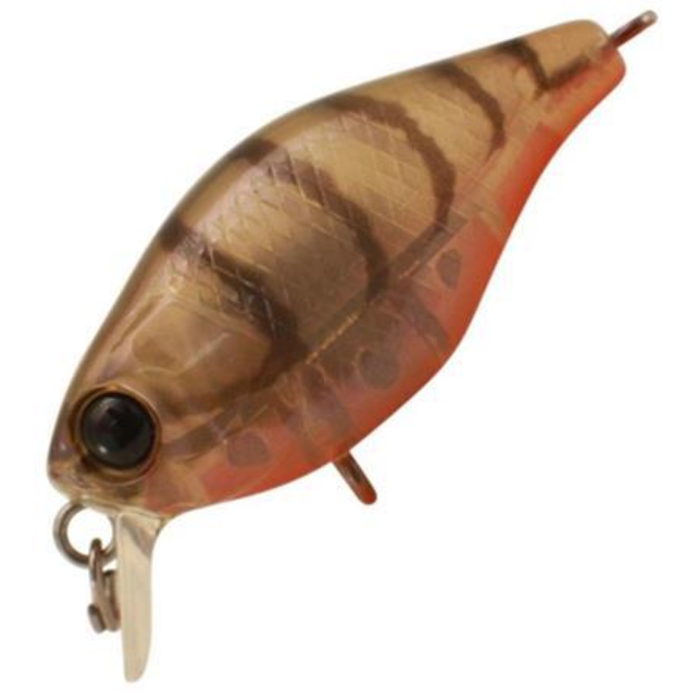 Jackall Chubby Shallow Floating