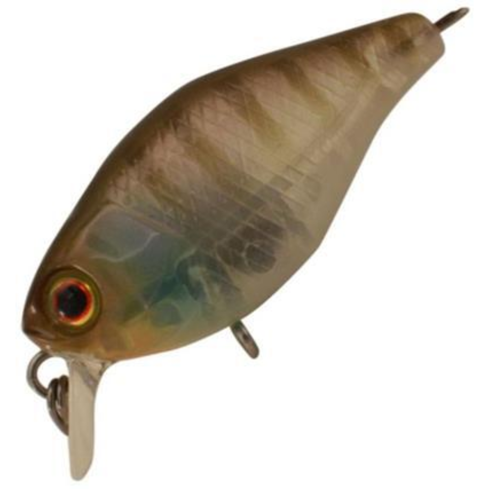 Jackall Chubby Shallow Floating