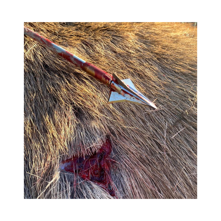 Kayuga Tri Zot Broadhead