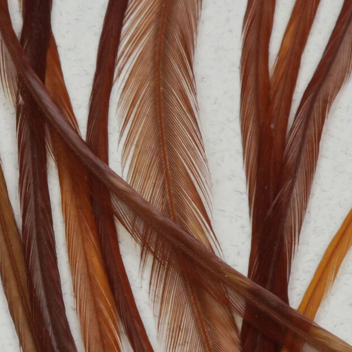 Keough-Saddle-Value-Pack-Brown