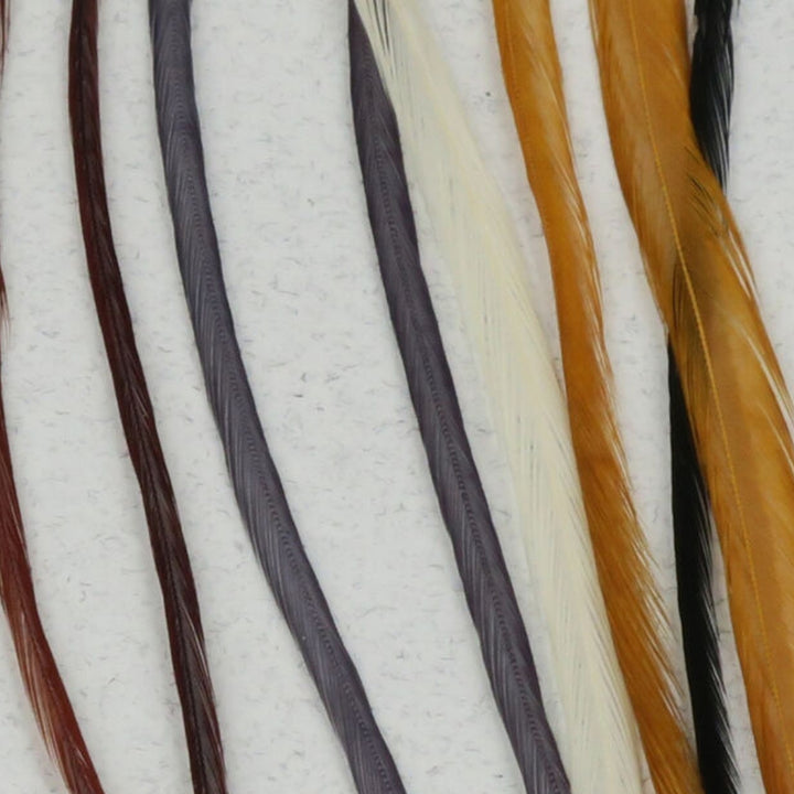 Keough-Saddle-Value-Pack-Mixed