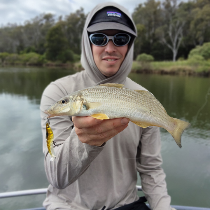 MMD Splash Prawn Surface Lure
