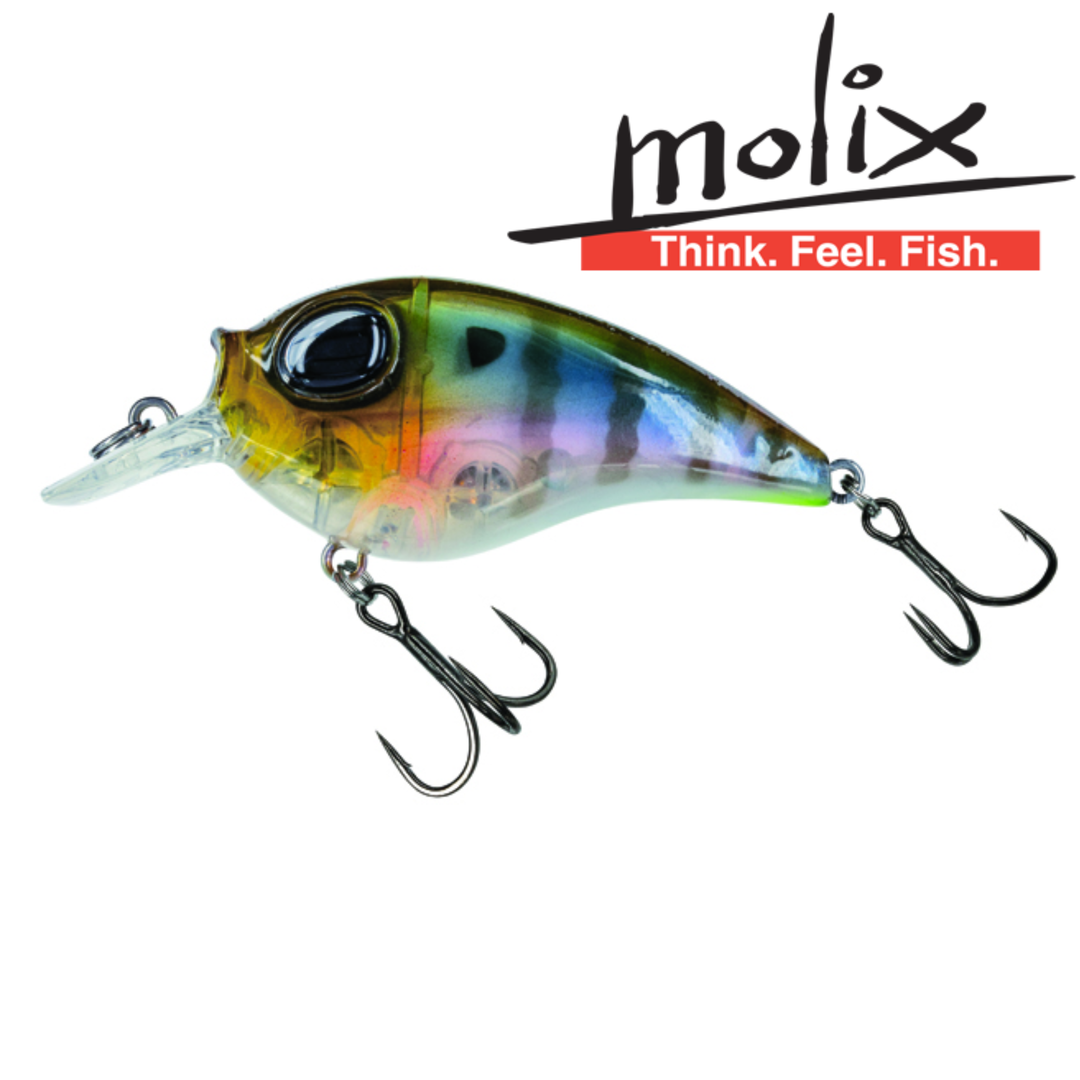 Molix SB Crank 55 Lure