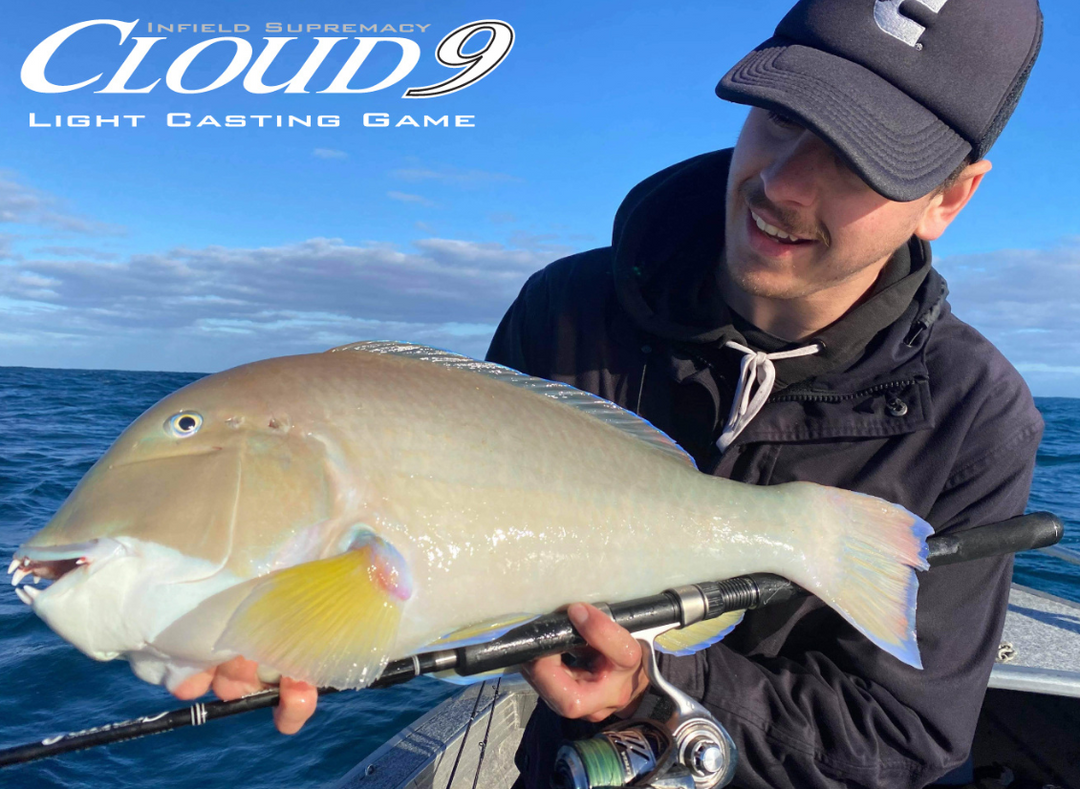 Ocean's Legacy Cloud 9