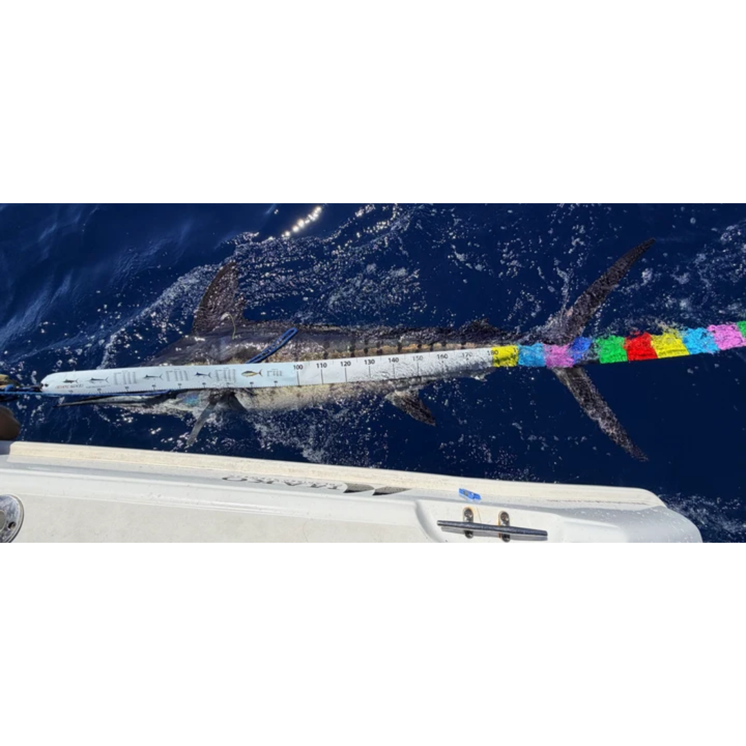 Offshore Agencies Pelagic Measuring Tape