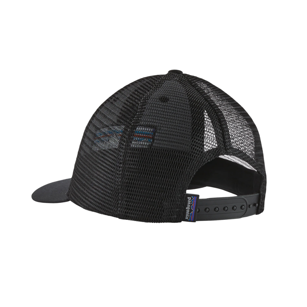 Patagonia P-6 LoPro Trucker Hat