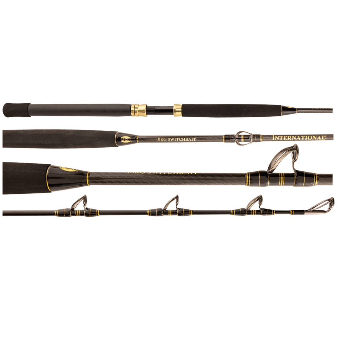 Penn International Land Based Game Rod