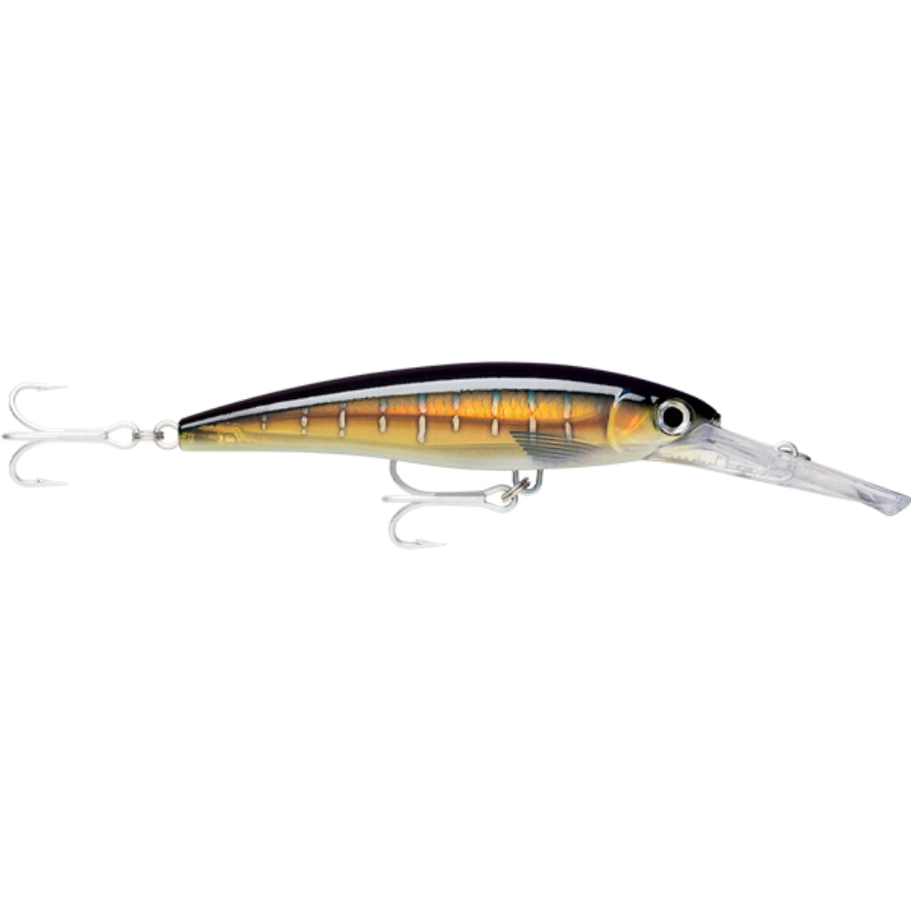 Rapala-X-Rap-Magnum-Lure-HD-Sailfish-UV
