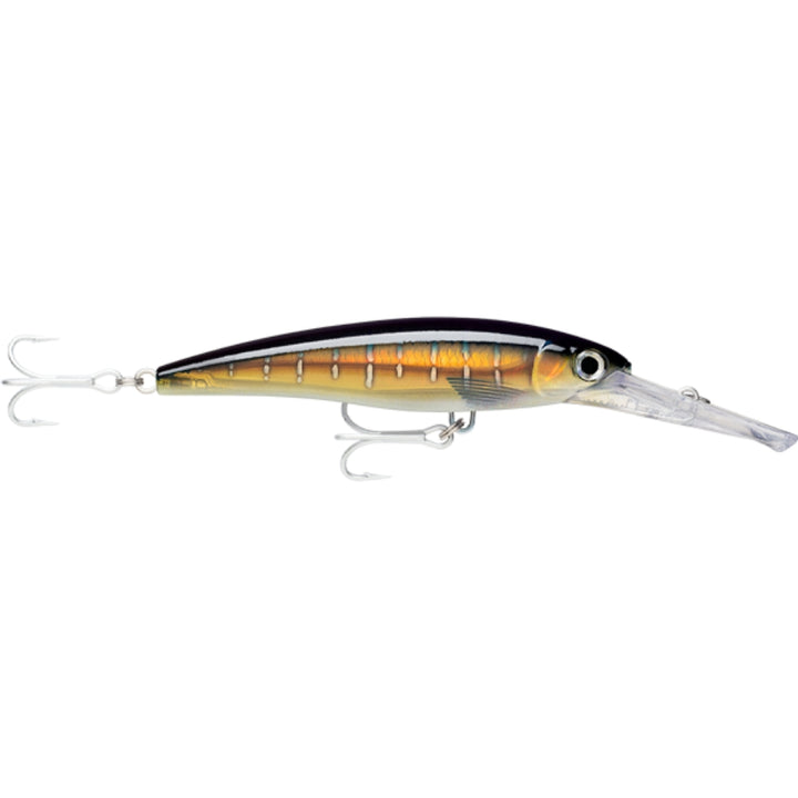Rapala-X-Rap-Magnum-Lure-HD-Sailfish-UV