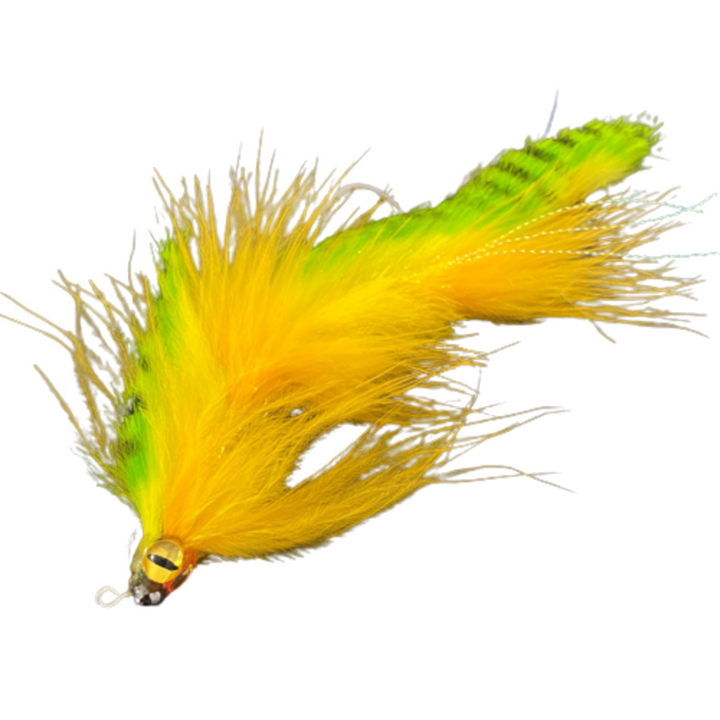 Rivulet Monkey Puzzle Cod Fly