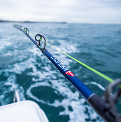 Shimano 25 Tag-Em Runner Straight Butt Overhead Rod