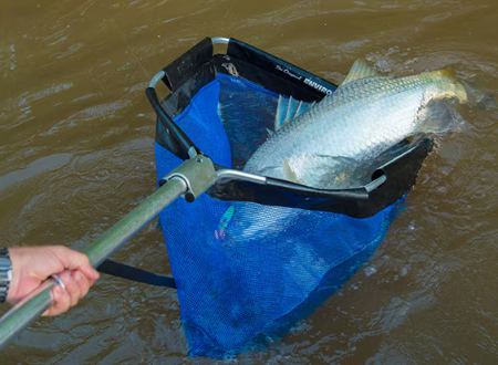 Shimano Environet FMS-500 Full mesh