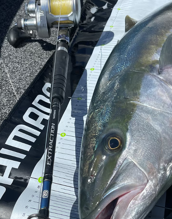 Shimano Extraction Overhead Rods