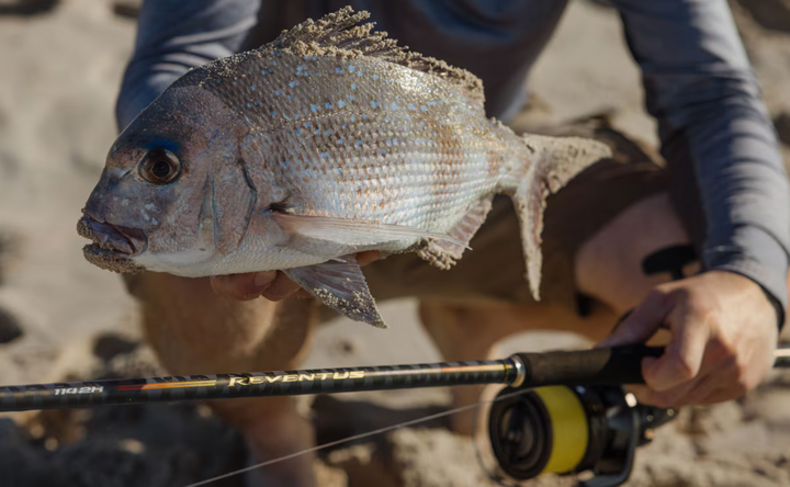 Shimano Reventus Spin Rod