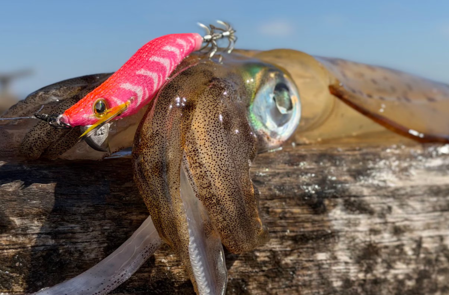 Shimano Sepy Flash Boost Squid Jig