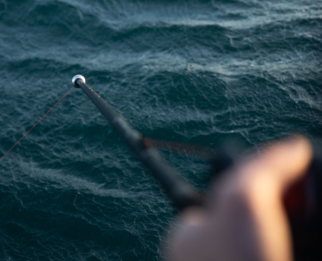 Shimano Slakka 7' 5" Sabiki Rod