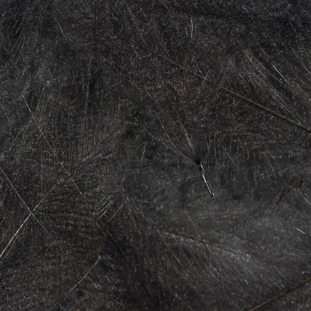 Spirit-River-UV2-Select-CDC-Feathers-Dark-Dun