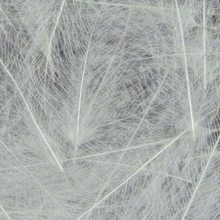 Spirit-River-UV2-Select-CDC-Feathers-Light-Dun