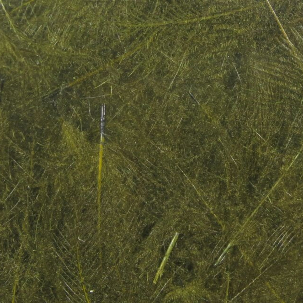 Spirit-River-UV2-Select-CDC-Feathers-Medium-Olive