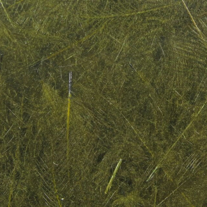 Spirit-River-UV2-Select-CDC-Feathers-Medium-Olive