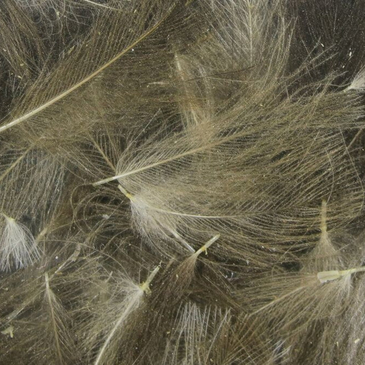 Spirit-River-UV2-Select-CDC-Feathers-Natural