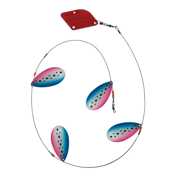 Tassie-Devil-Cow-Bell-Rainbow-Trout