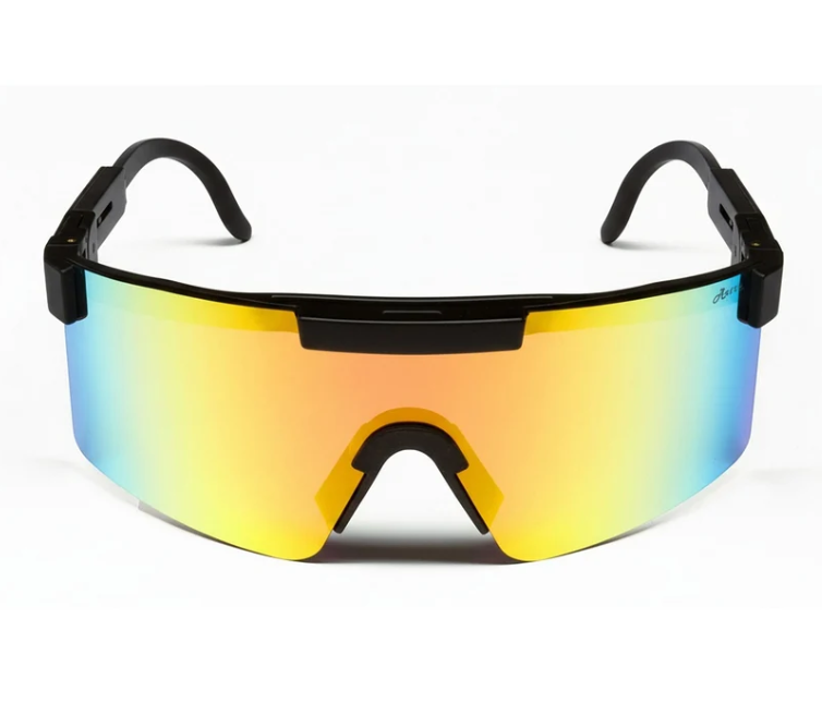 Ugly Fish Polarised Retro Dexter Sunglasses PR4166
