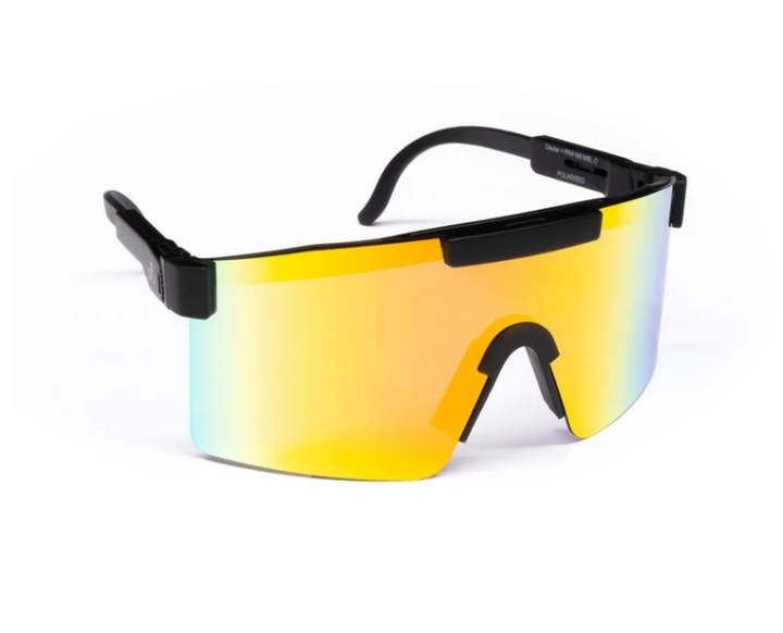 Ugly Fish Polarised Retro Dexter Sunglasses PR4166