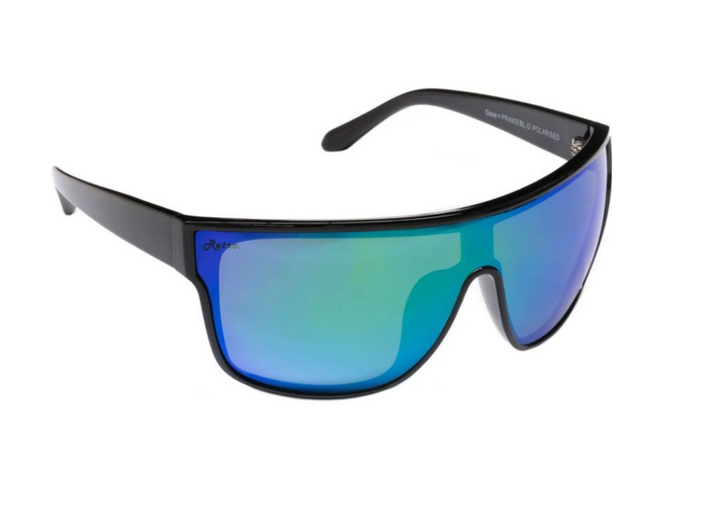 Ugly Fish Polarised Retro Gaze Sunglasses PR4905