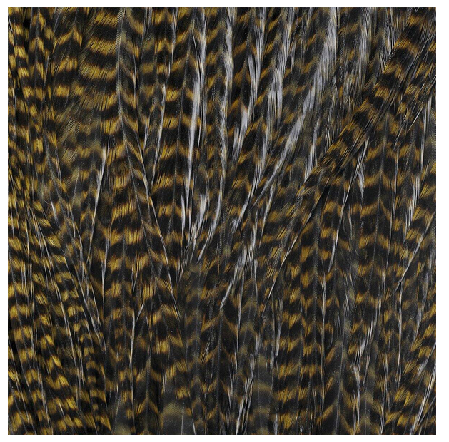 Wapsi Dryfly Neck Hackle Mini Pack