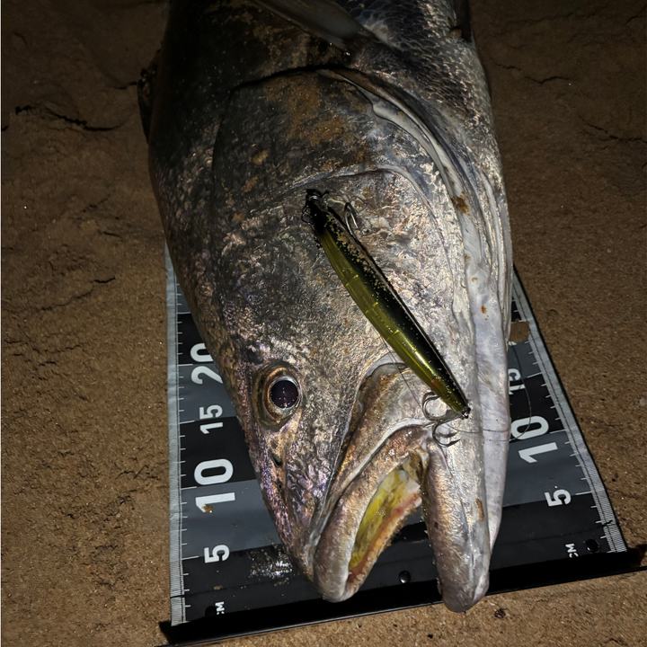 Yo-Zuri LC Hydro Minnow Floating Lure